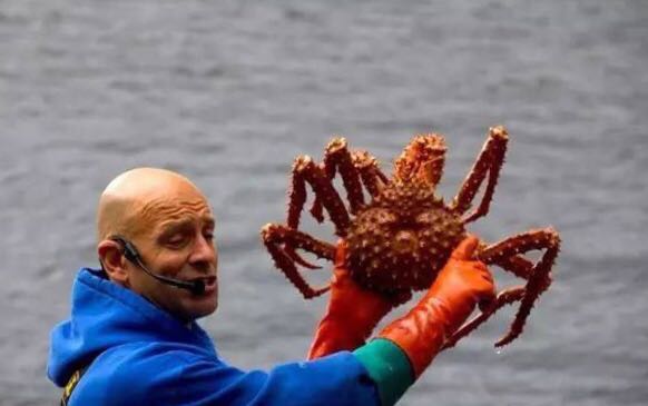 螃蟹的世界旅行,螃蟹的世界深度解析