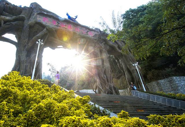 德宏芒市孔雀谷优惠套票,芒市孔雀谷门票多少钱