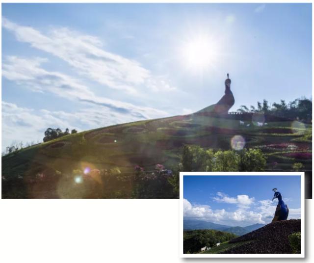 德宏芒市孔雀谷优惠套票,芒市孔雀谷门票多少钱