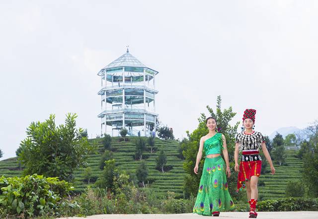 德宏芒市孔雀谷优惠套票,芒市孔雀谷门票多少钱