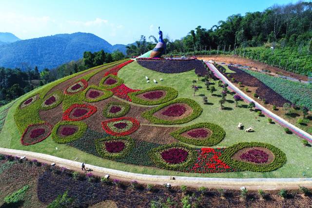 德宏芒市孔雀谷优惠套票,芒市孔雀谷门票多少钱