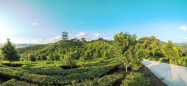 德宏芒市孔雀谷优惠套票,芒市孔雀谷门票多少钱