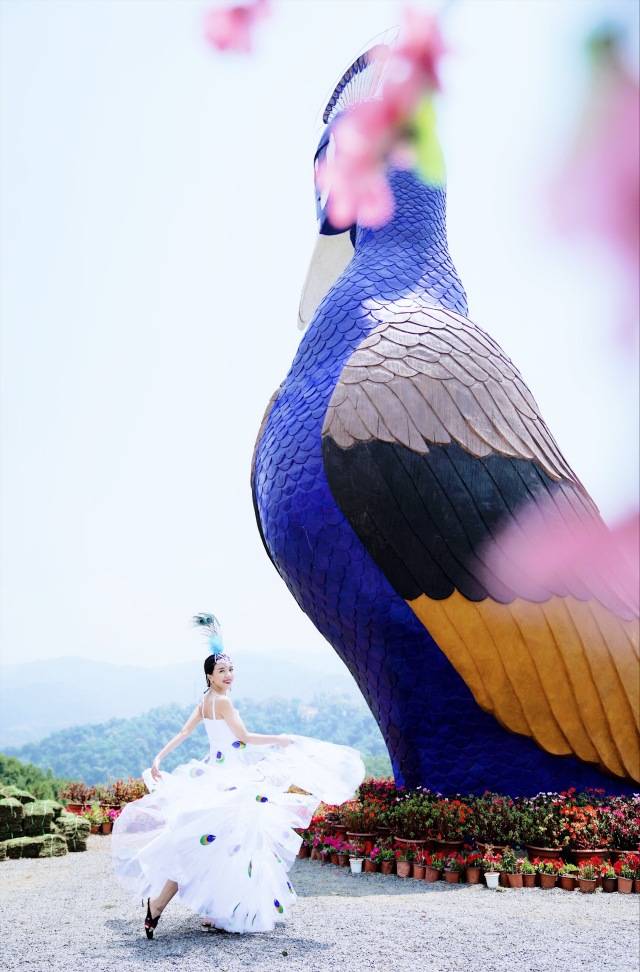 德宏芒市孔雀谷优惠套票,芒市孔雀谷门票多少钱