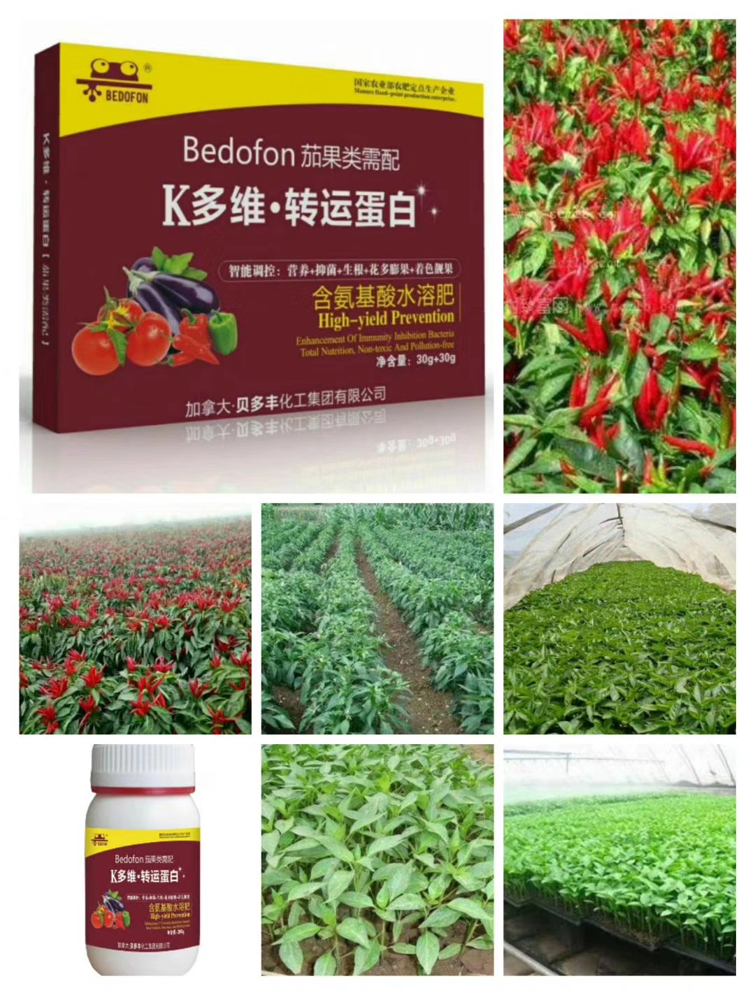 想要辣椒苗茄子苗长得好怎么施肥,辣椒苗移栽多久才可以施肥管理