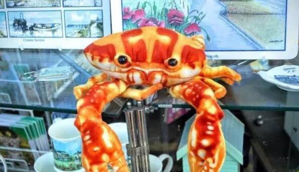 螃蟹的世界旅行,螃蟹的世界深度解析