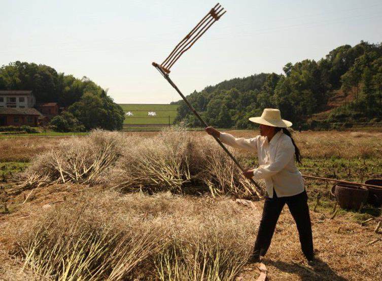 赵匡胤发明了什么东西,赵匡胤开创中华武术