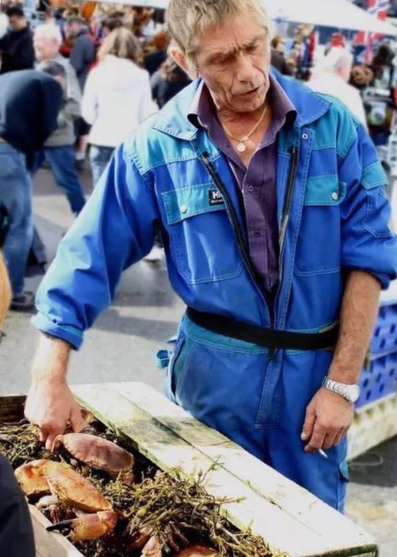 螃蟹的世界旅行,螃蟹的世界深度解析