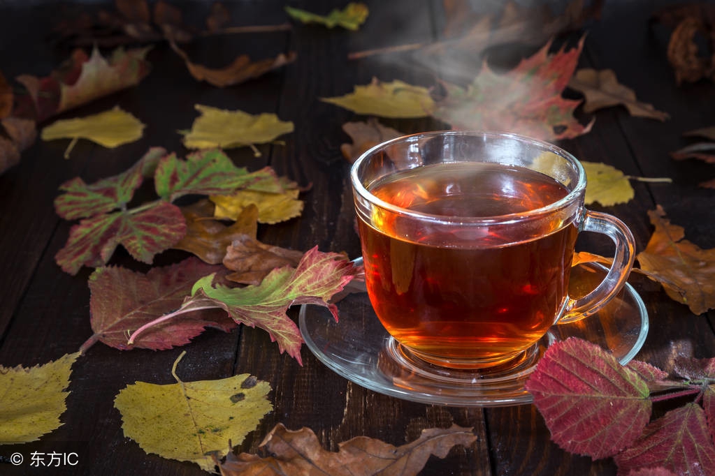 常吃鱼腥草有什么功效和作用,常吃凉拌鱼腥草有什么好处