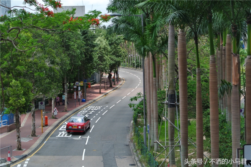 香港一日游推荐自由行,香港小众三日游