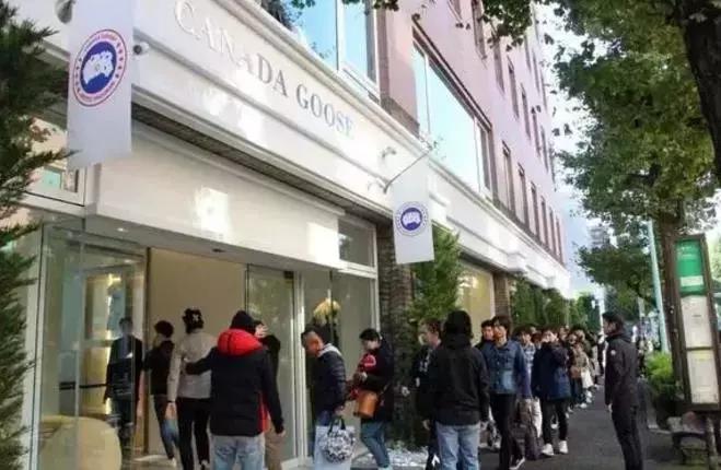 代购们要哭了!可大鹅的真爱粉们赶快偷着乐吧