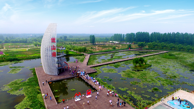 赏荷微山湖,微山湖荷花美景赏心悦目