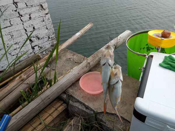 周末钓鱼放松好去处,钓鱼环境优美放松心情