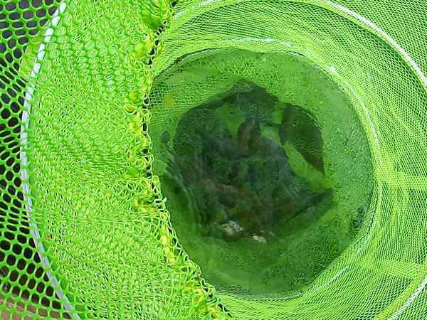 周末钓鱼放松好去处,钓鱼环境优美放松心情