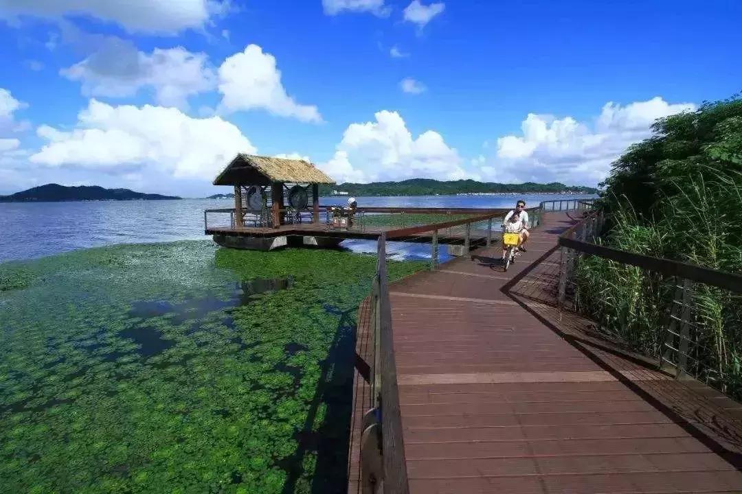 7月上海云南往返机票,上海飞各地5月便宜的飞机票