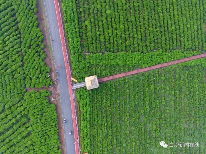 濡傛灉浣犳病鏉ヨ繃娓呮锭,濡傛灉浣犳病鏉ヨ繃绋诲煄