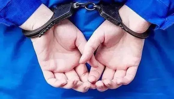 她借出200多万要不回，委托的*债讨**人又骗了她55万……丨深夜有聊