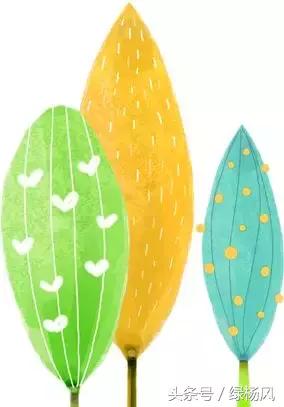 古运河休闲健身长廊,古运河风光秀丽