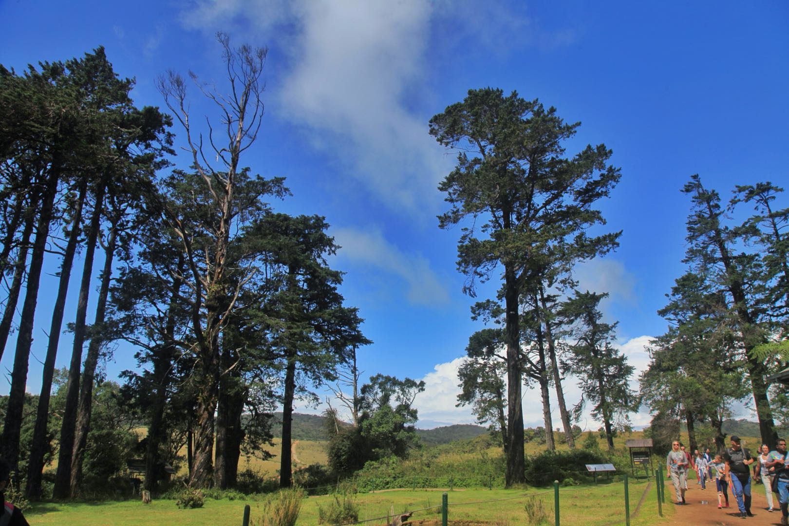 斯里兰卡的旅游攻略和心得,斯里兰卡宝石购买攻略