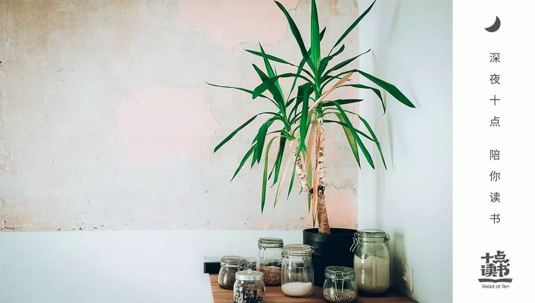 我们一辈子都在找的一篇美文,我们一辈子都在寻找的五个锦囊