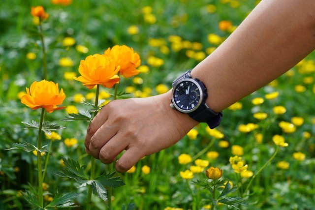 椹伴獘鎴峰,椹伴獘鎴峰鐢ㄥ搧