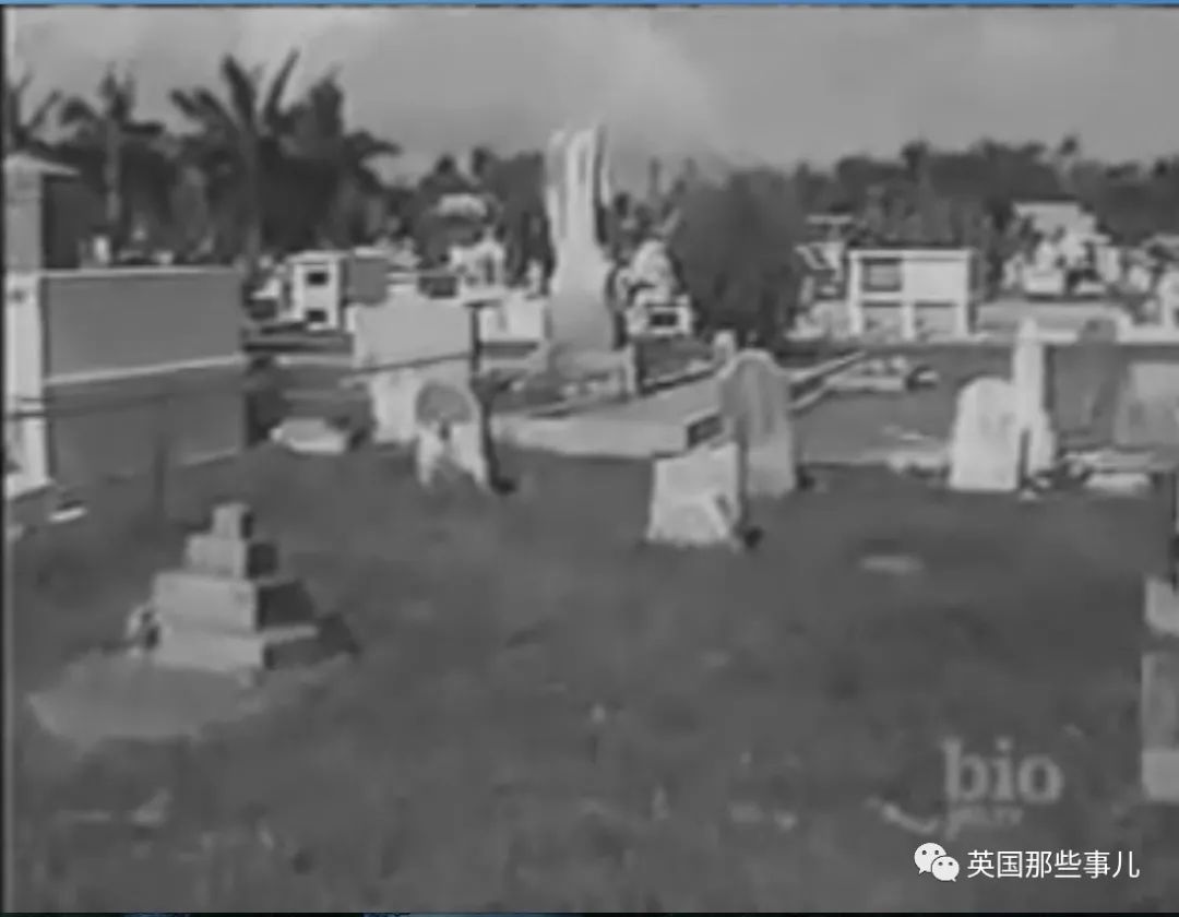 一心要和梦中姑娘在一起……而当姑娘离世后，他突然诡异了起来……