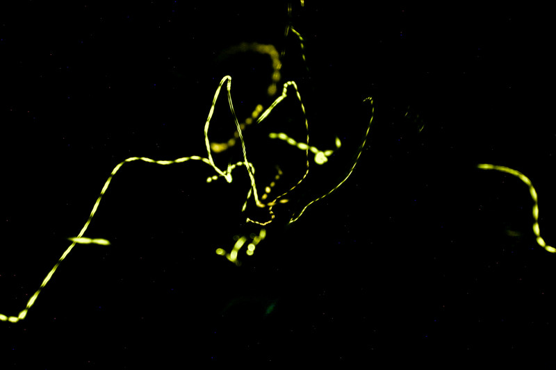 仙本那一日游马布岛卡帕莱,仙本那旅游4天三晚