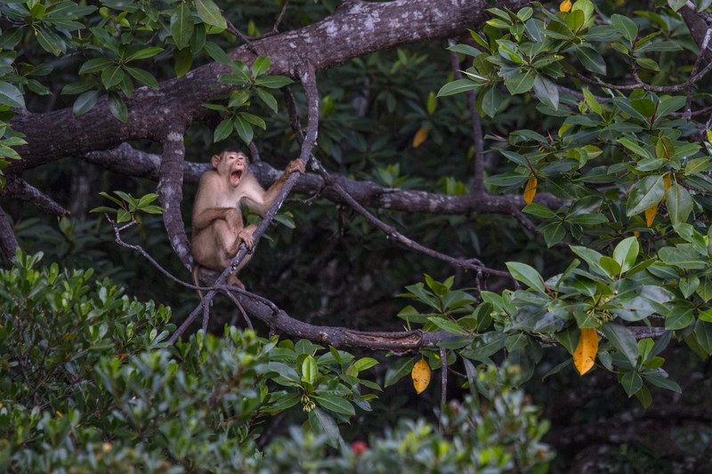 仙本那一日游马布岛卡帕莱,仙本那旅游4天三晚