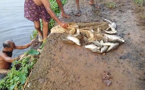 不被大伙注意的水沟,撒网下去后没动静,亲自下水收网,惊喜来了