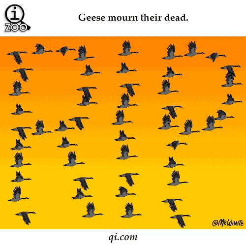 呼和浩特5月9日天气预报,呼和浩特天气穿衣指南7月