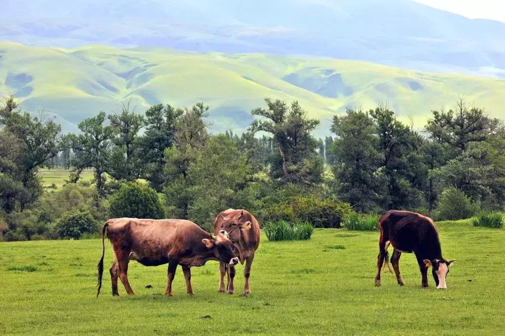 天津出发两小时能到达的地方,天津出发一日游坐火车