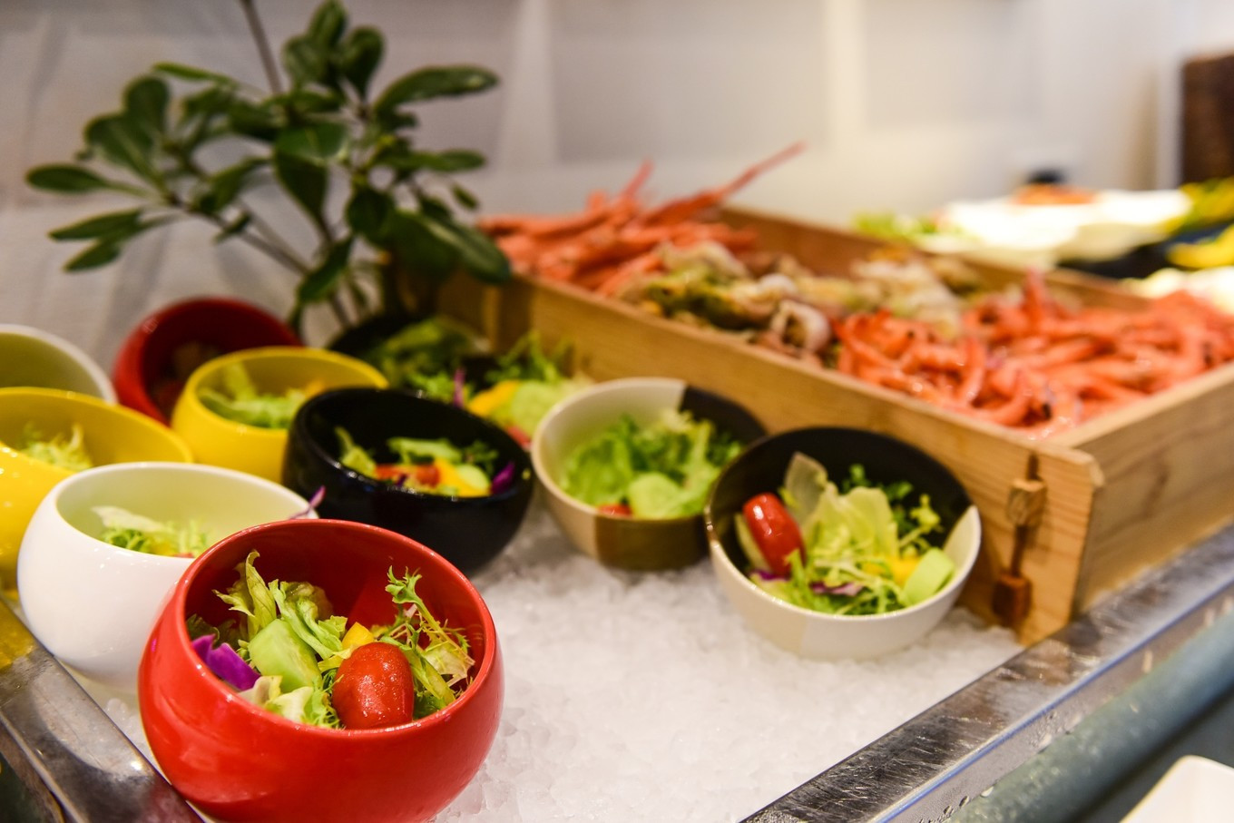 璐甸槼闈掑博鍙ら晣鏂囧嚒鍒櫌,闈掑博鍙ら晣鏂囧嚒鐘跺厓鍒櫌