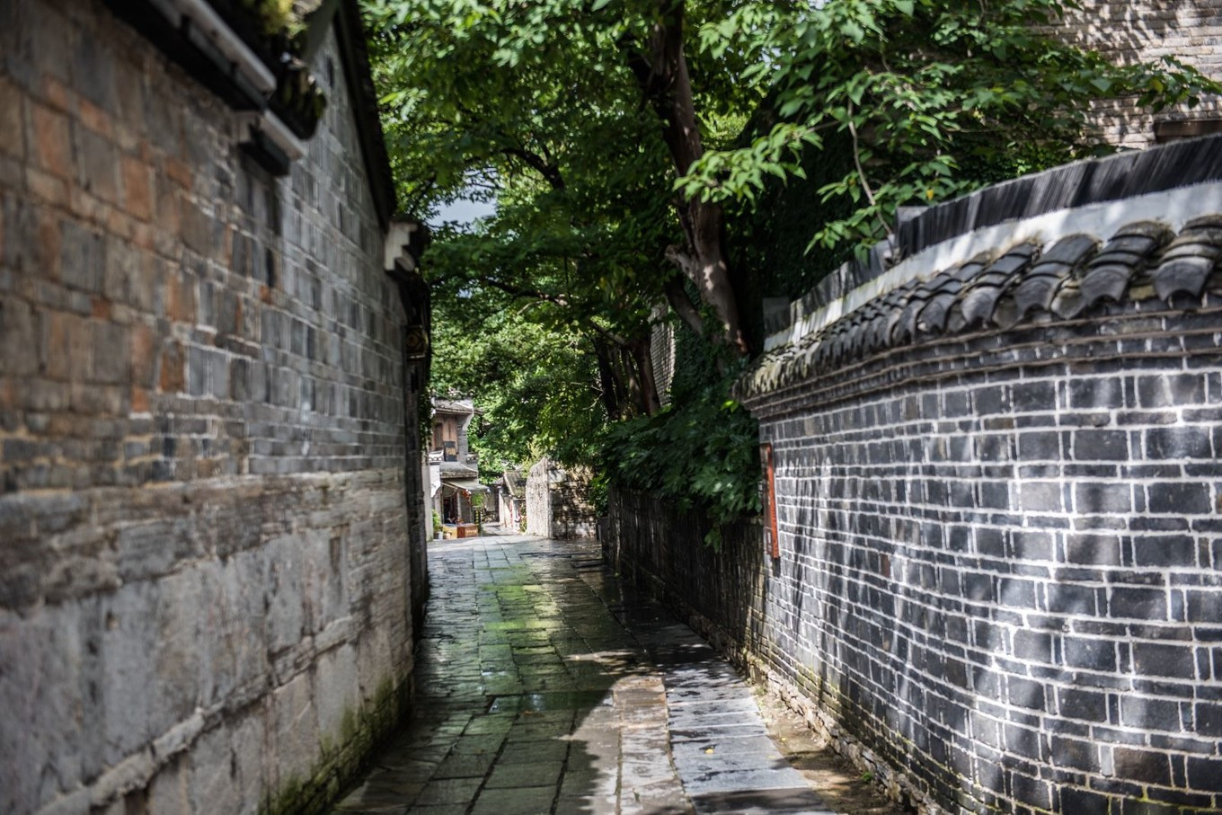 璐甸槼闈掑博鍙ら晣鏂囧嚒鍒櫌,闈掑博鍙ら晣鏂囧嚒鐘跺厓鍒櫌