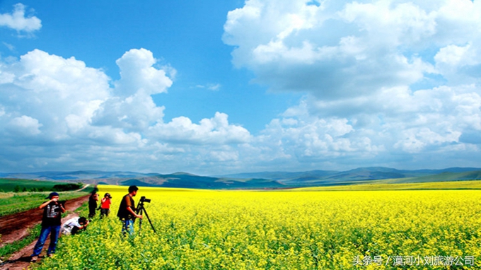 漠河到呼伦贝尔包车攻略,呼伦贝尔漠河环线自由行