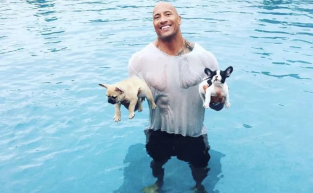 人们总在不知不觉中坠入爱河,人陷入情网