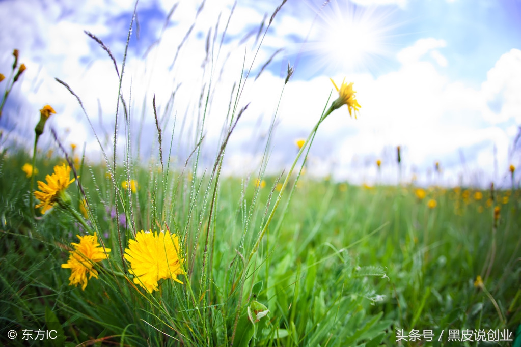 比较暴利的投资,利润很吓人10个冷门项目
