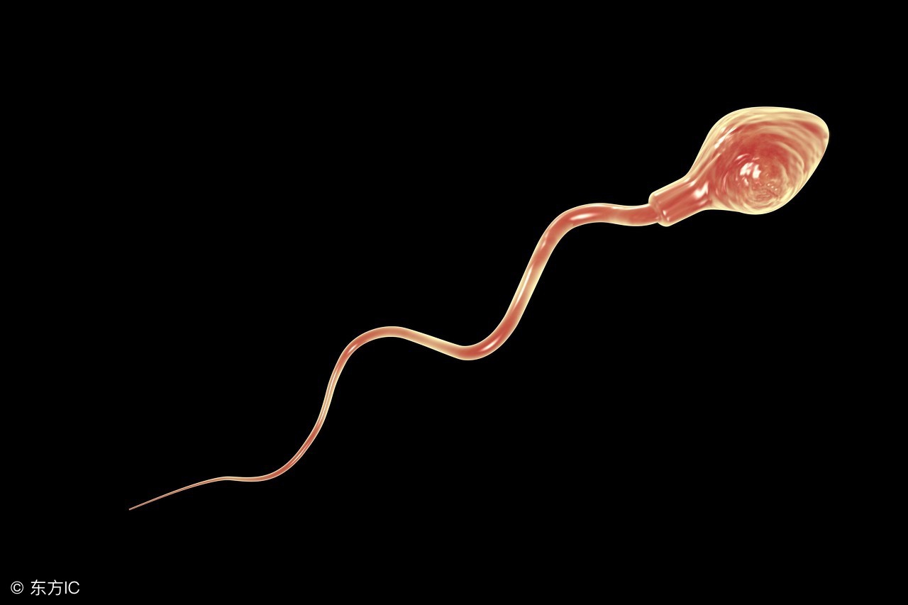 防止男人经常遗精的物品,防止男人厌倦你的唯一方法