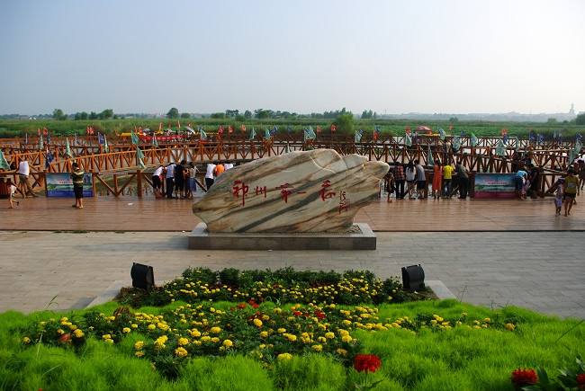 淮阳龙湖荷花旅游攻略,淮阳龙湖赏荷花图片