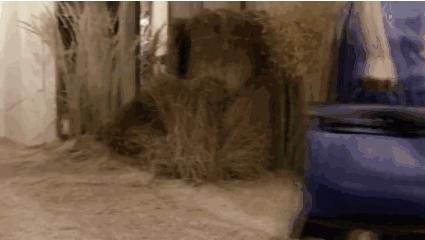 lv价格低的单品,lv价格离谱