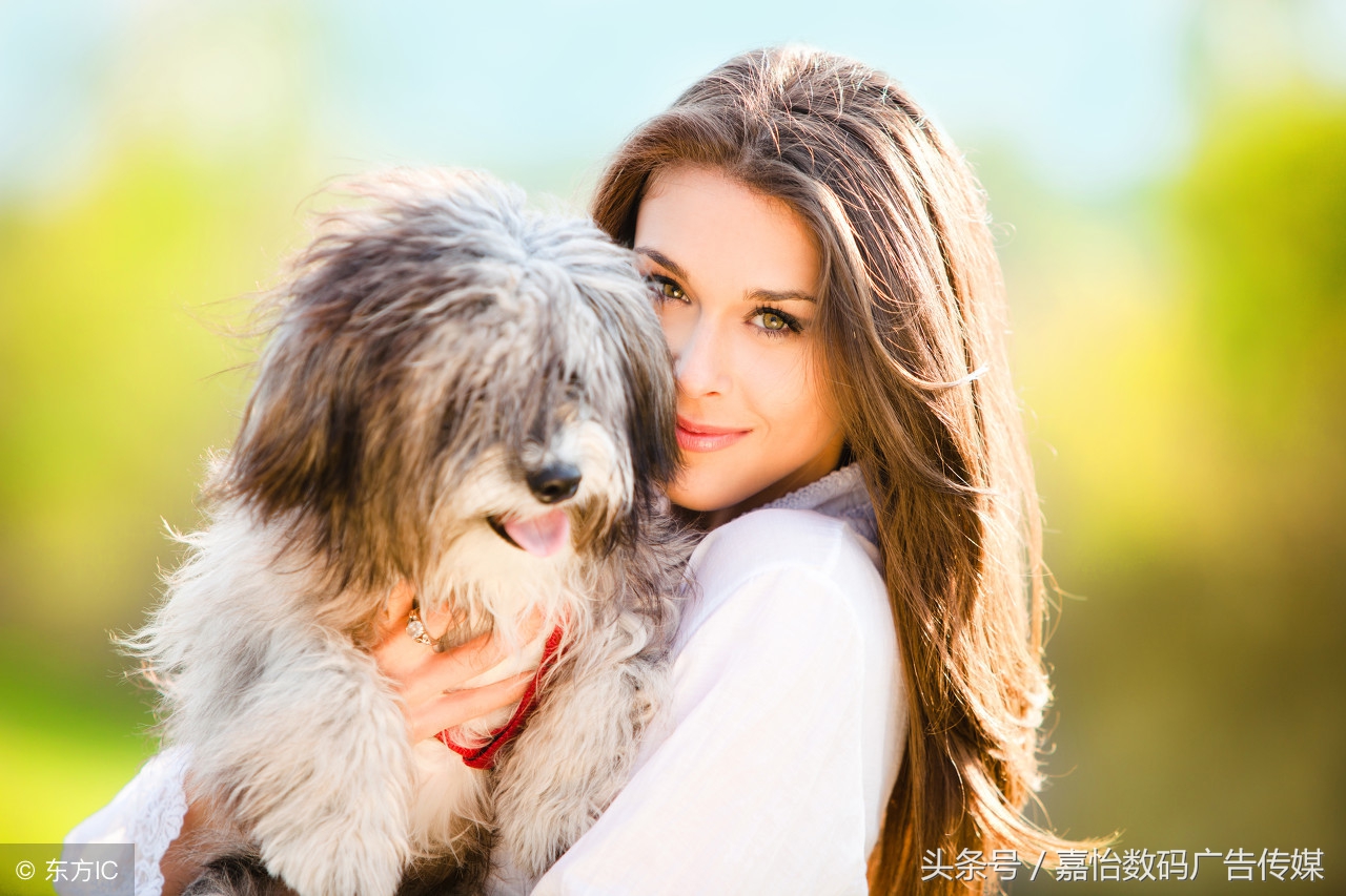 蜱虫的危害及预防,宠物预防蜱虫的最好方法