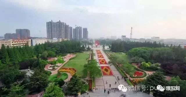 濮阳县市经济排行,濮阳排名前十名的企业