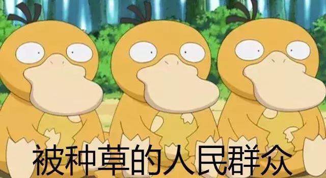 种草号如何快速起号,新手小白快速起种草号的方法