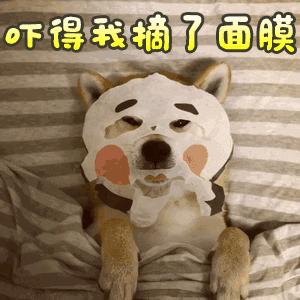 女人们醒醒吧原版视频,女人们醒醒吧原视频