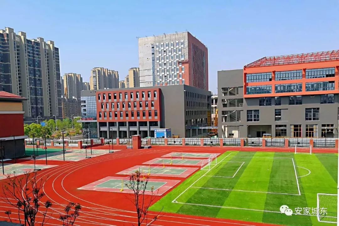 爆发!黑马中学出炉,全新小学投用,仙林迎来教育新格局