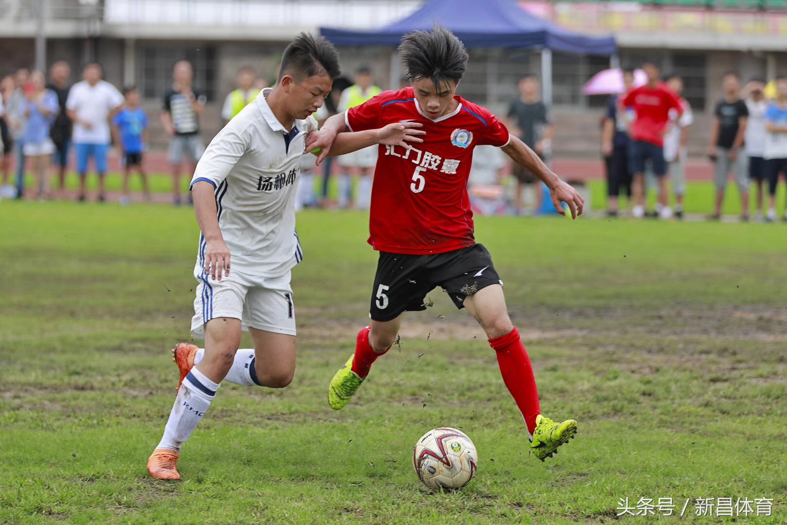 少年足球大赛完整版,少年足球比赛