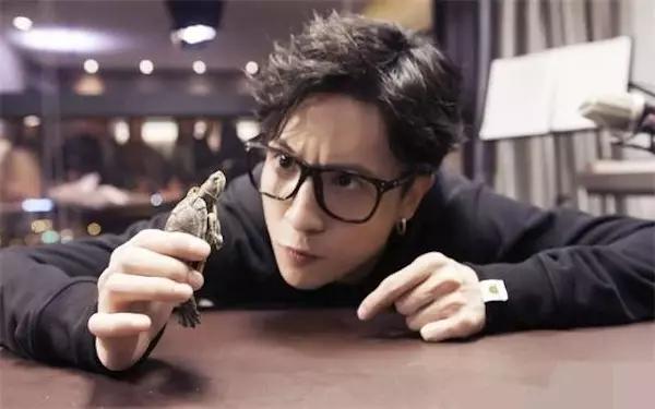 在越南的中国网红有哪些,中国历年网红排行榜动态