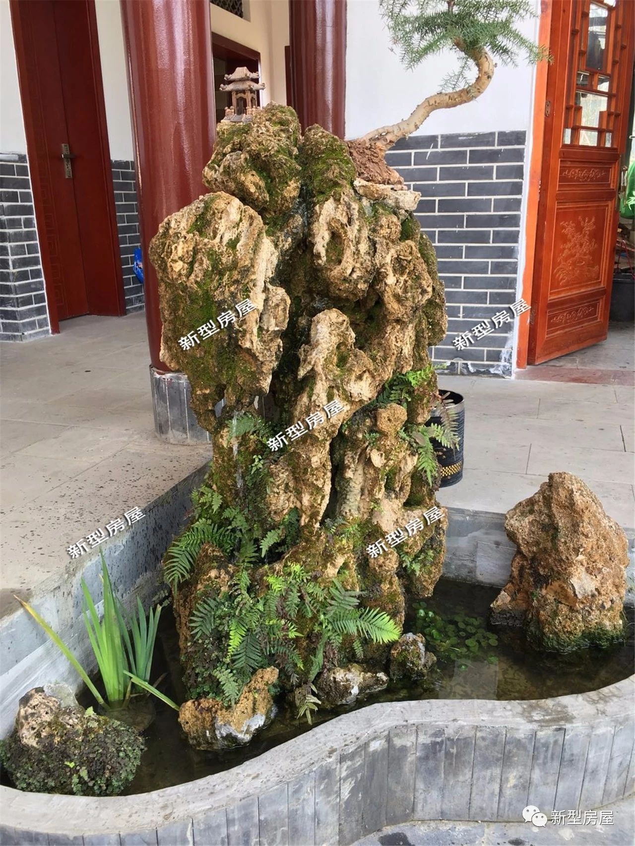 没有过滤器鱼池水发绿怎么解决,农村鱼池怎么保持水清澈