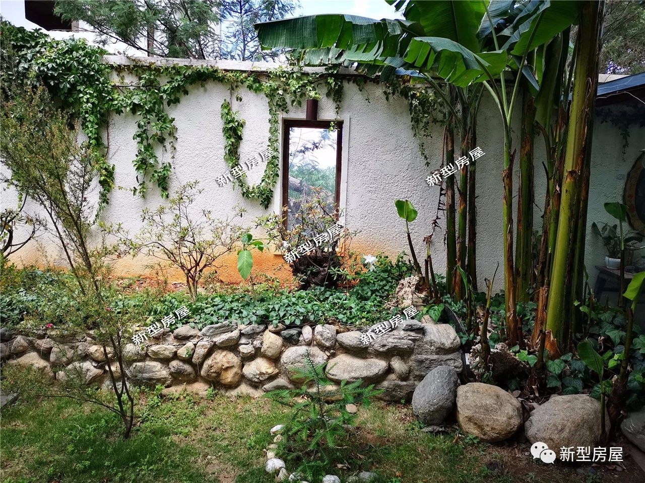 没有过滤器鱼池水发绿怎么解决,农村鱼池怎么保持水清澈