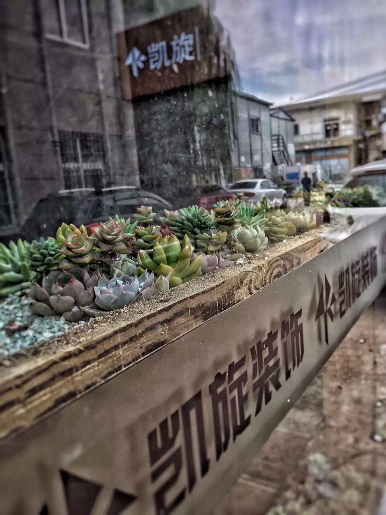 青岛凯旋装饰城阳分公司,青岛市凯旋装饰公司