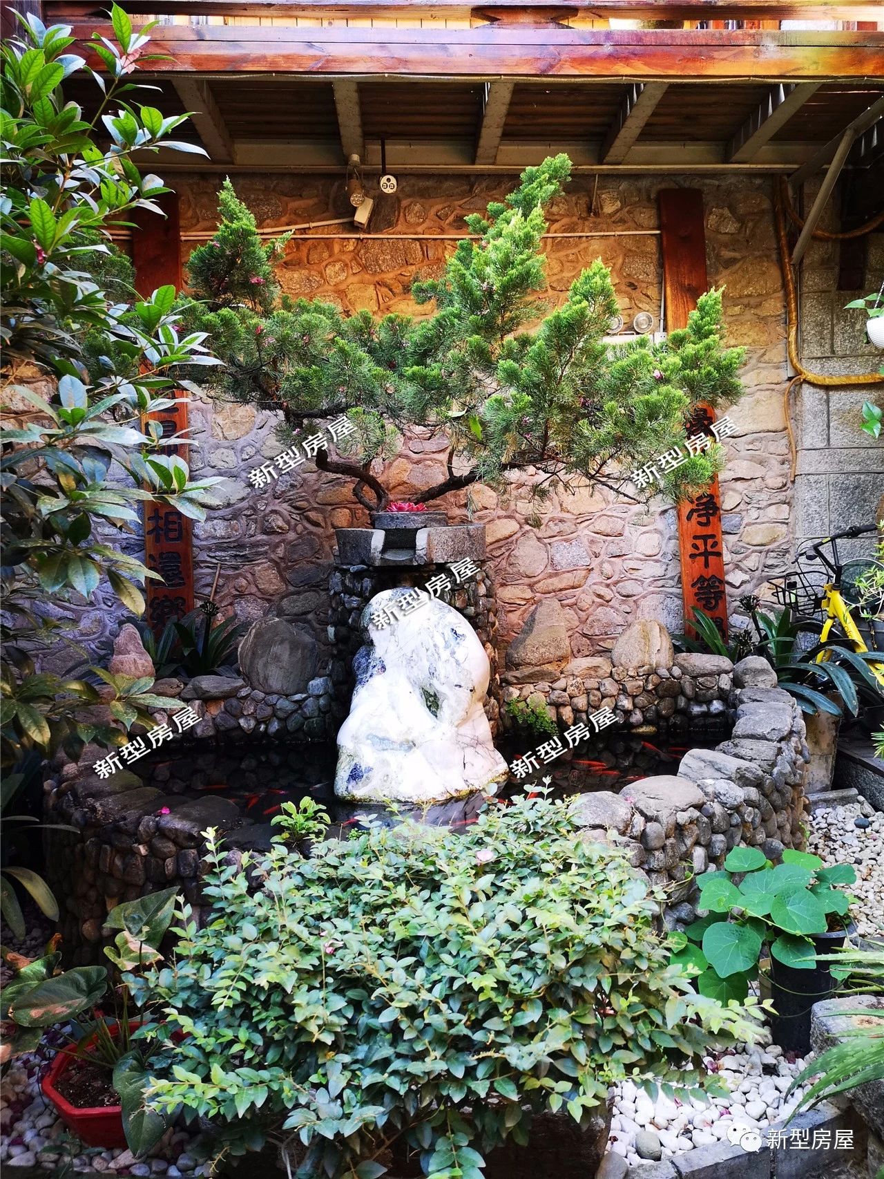 没有过滤器鱼池水发绿怎么解决,农村鱼池怎么保持水清澈