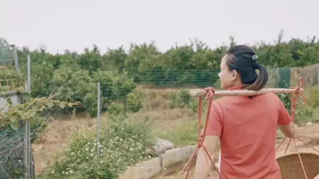 农村妇女玩手机卖出300万斤水果,年入千万,她就靠这几招!